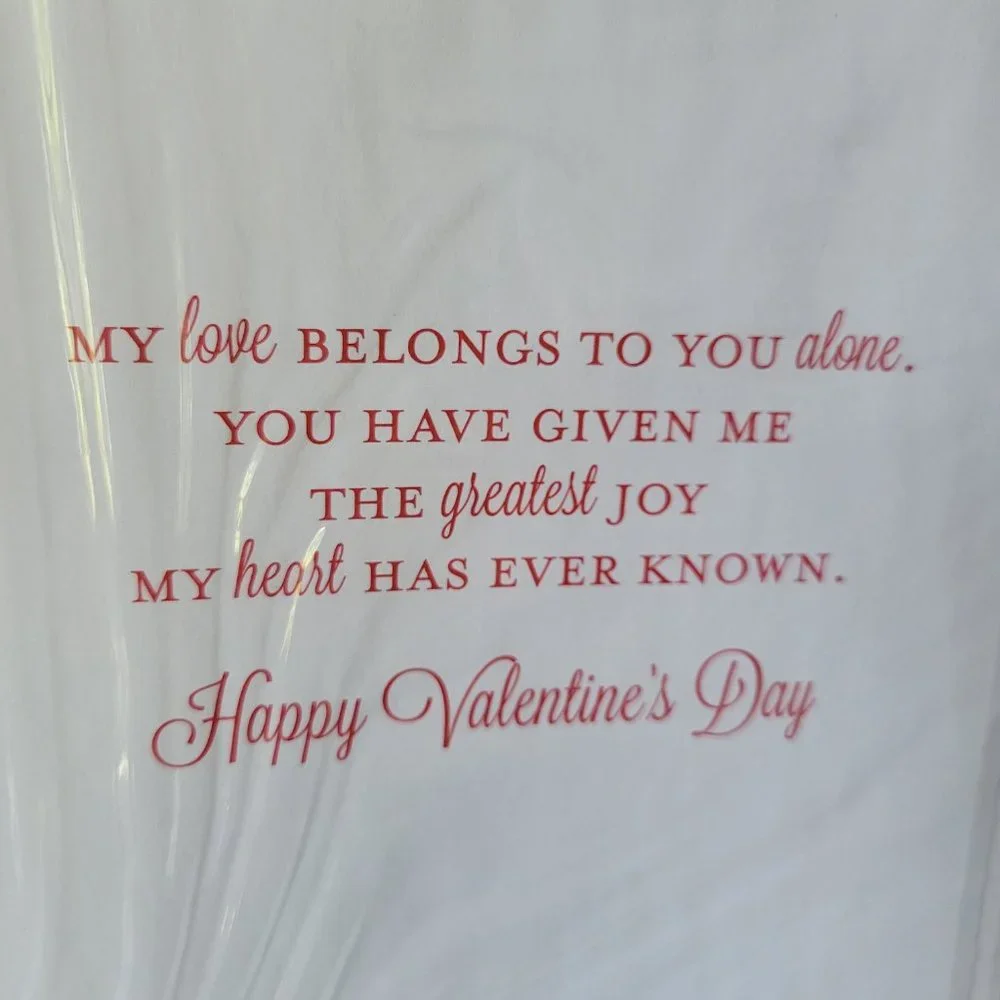 Jumbo Valentine's Day Card
